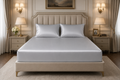 22 Momme Pure Mulberry Silk Bedding (Silver)