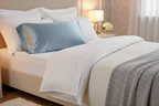 Pure Mulberry Silk Pillowcase (Sky Blue - 22 momme)